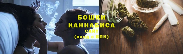 стафф Бронницы