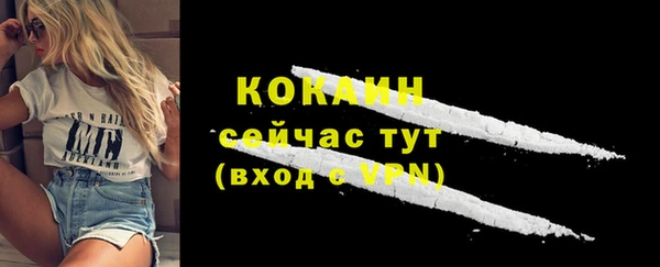 бошки Бородино