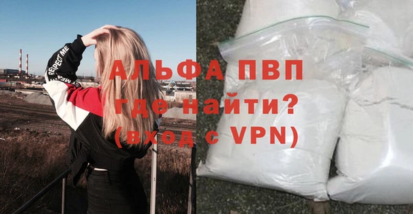 стафф Бронницы