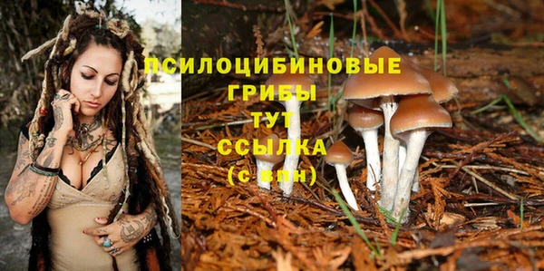 бошки Бородино
